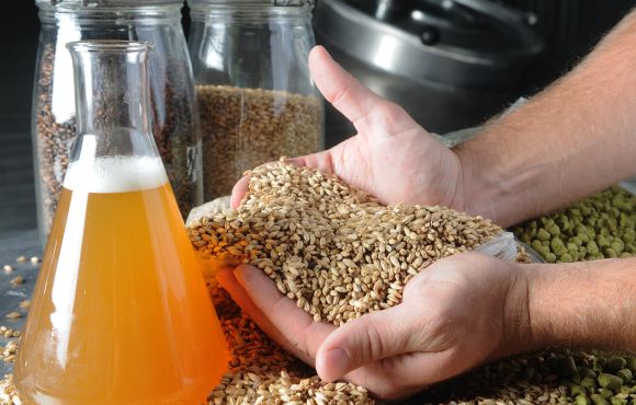 DÍA DEL TRABAJADOR CERVECERO