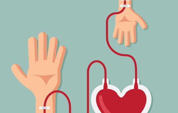 11° COLECTA DE SANGRE Y REGISTRO DE MÉDULA ÓSEA